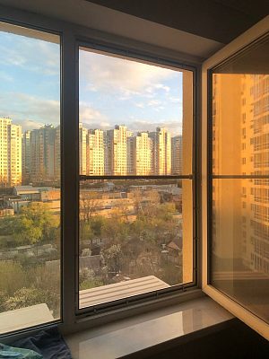 антикот на панорамном окне, вид на город